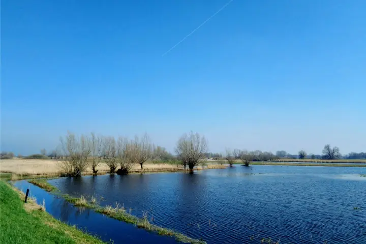 Uiterwaarden Zwarte Water