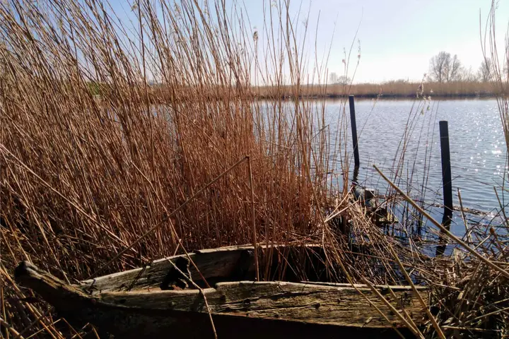 Roeiboot Oever Zwarte Water