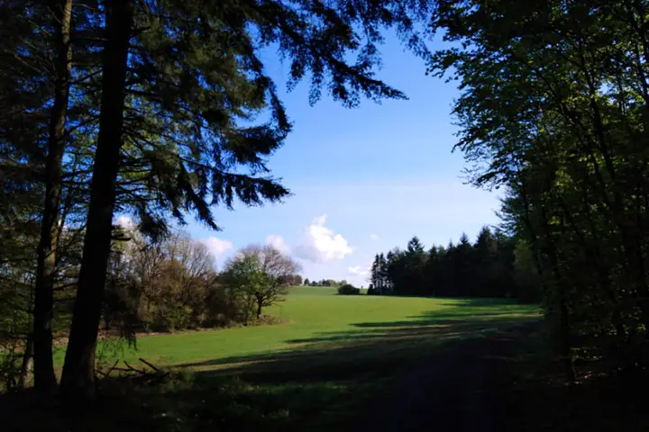 Alpenwijde nabij Strotzbuscher Muhle