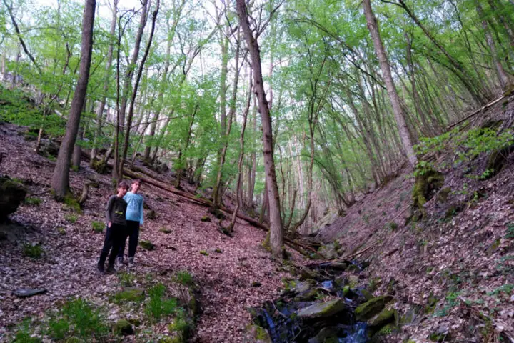 Diep dal Strotzbuscher Muhle