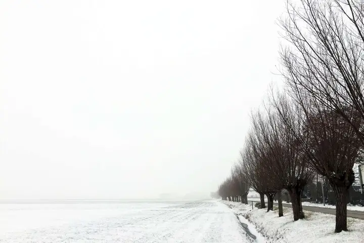 Winters witte Hooiweg