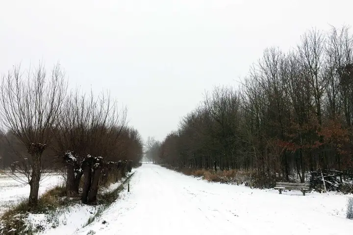 Winters wit Selhorsterpad golfbaan Zwolle