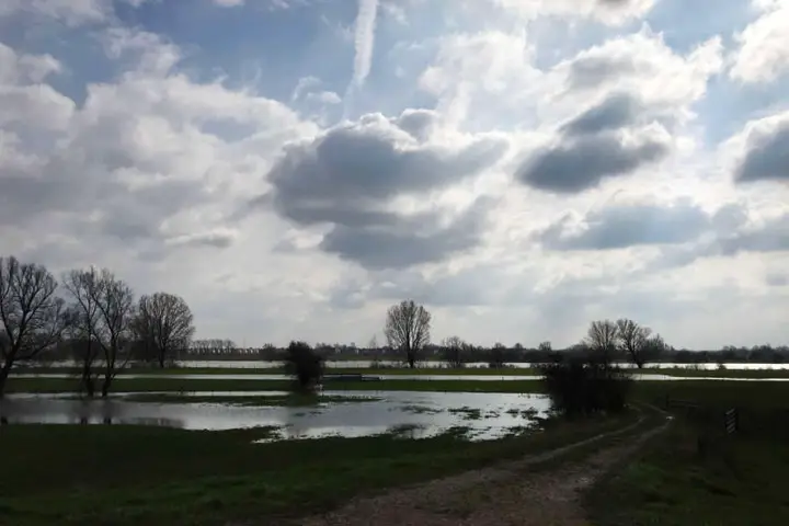 Rivierlandschap Maas Hoezadriel