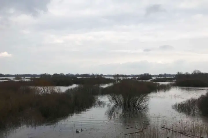Ondergelopen uiterwaarden Oensel