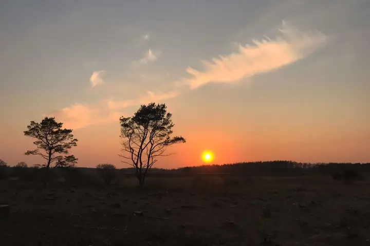 zonsondergang holtingerveld