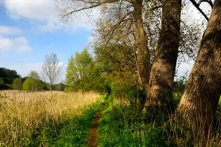 Safari Meppel Reestdal