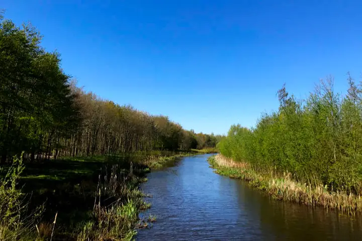 Safari Meppel Wold Aa