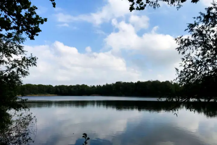 Safari Meppel Blijdenstein Engelgaarde