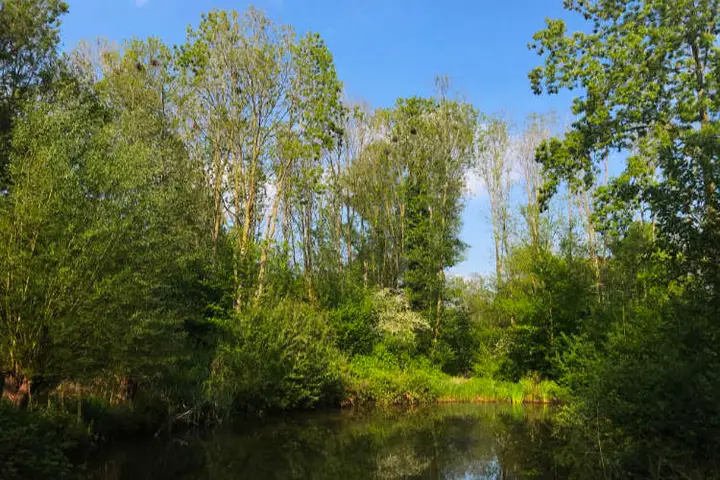 Safari Meppel Park Hesselingen