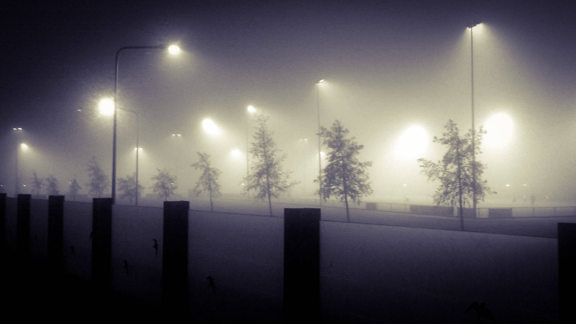Mistig sportpark koedijkslanden meppel