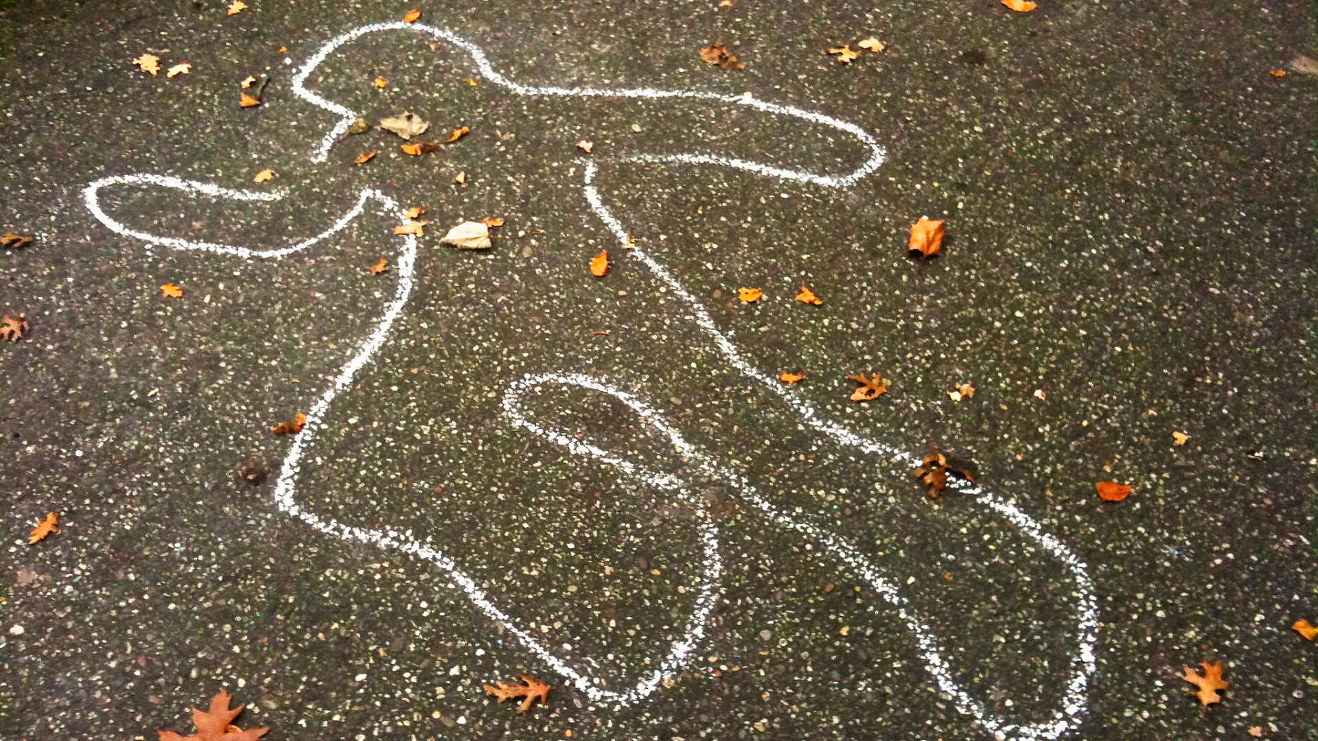 tatort wilhelminapark meppel