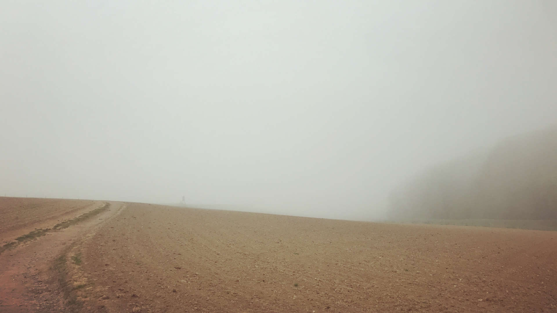 limburgse heuvel bij gulpen in de mist