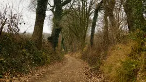 holle weg beutenaken zuid-limburg