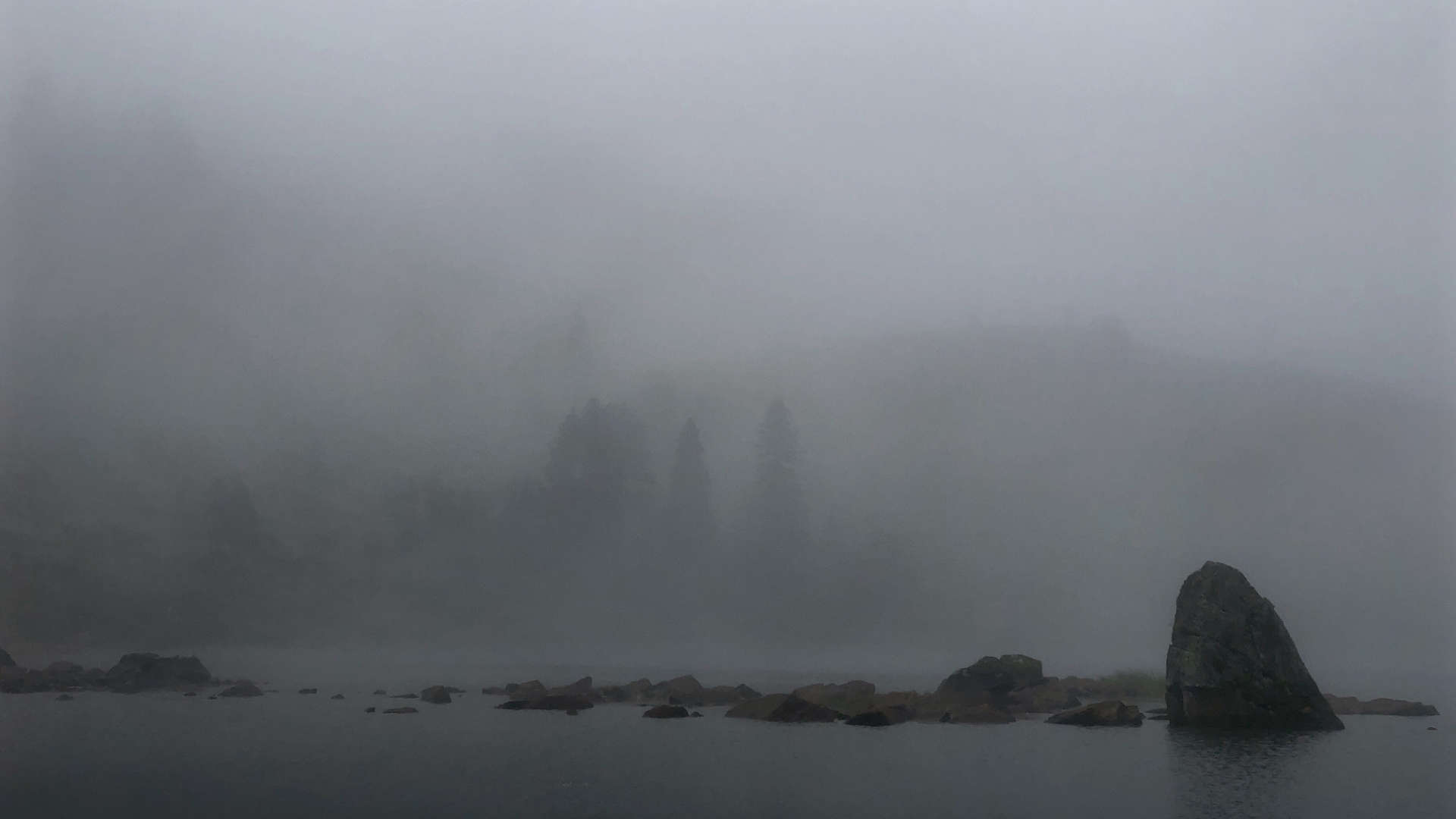 wild-places-mist-bergen-etang-de-comte