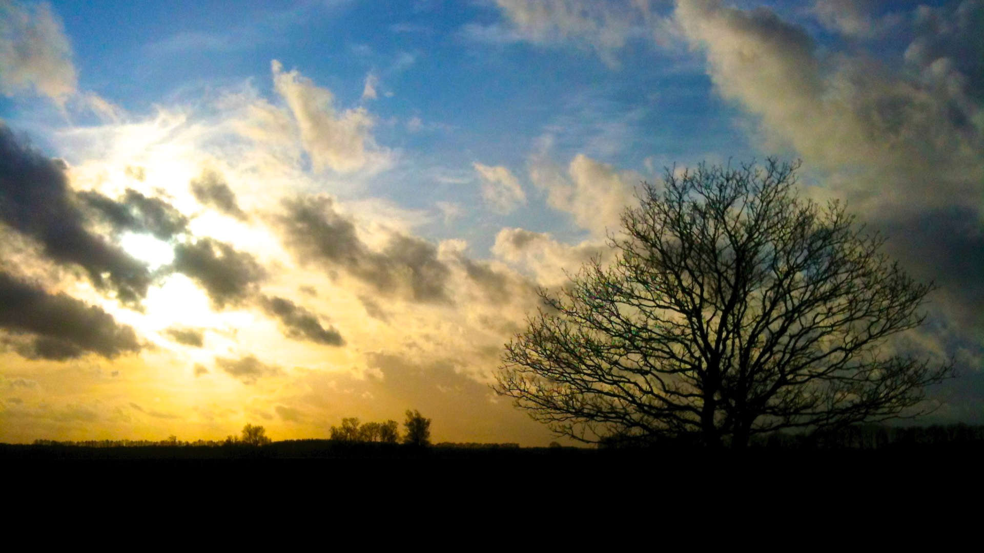 mantingerzand wolken boom tegenlicht