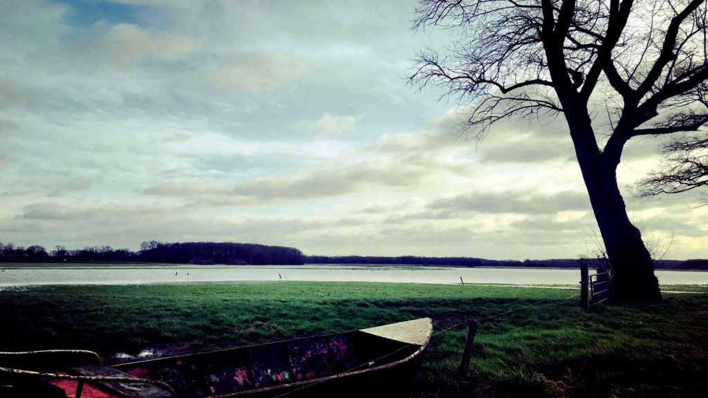 boot-reestdal-boom-lankhorst