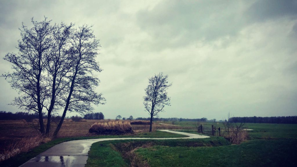 fietspad-wieden-op-weg-naar-roekebosch