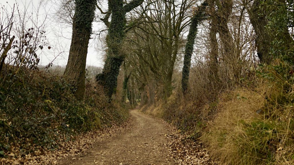 holle-weg-omhoog-naar-plateau-margraten
