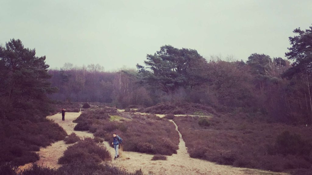 lidia-tamas-scharrelen-in-holtingerveld
