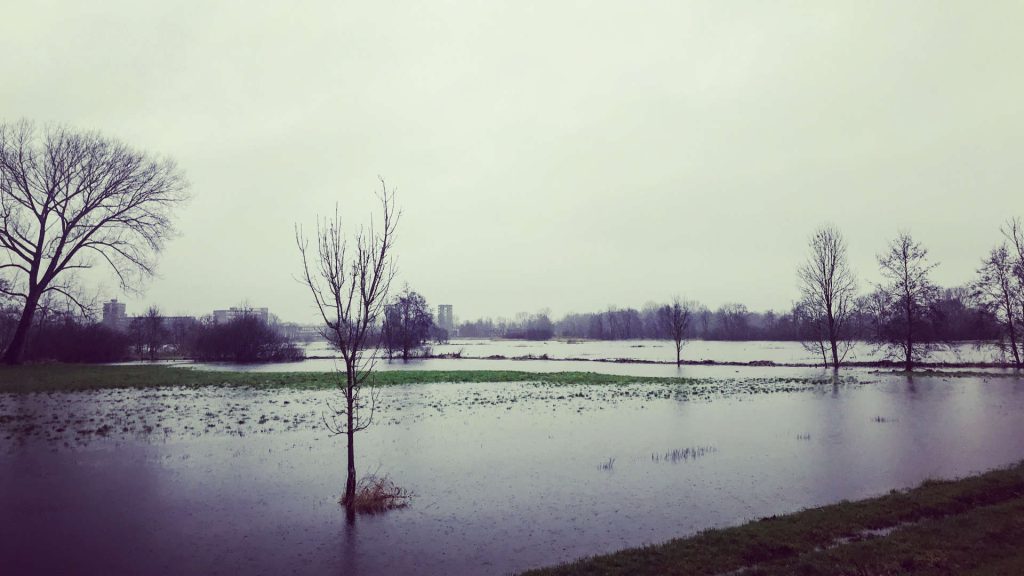 reest-meppel-plas-overstroming-bomen