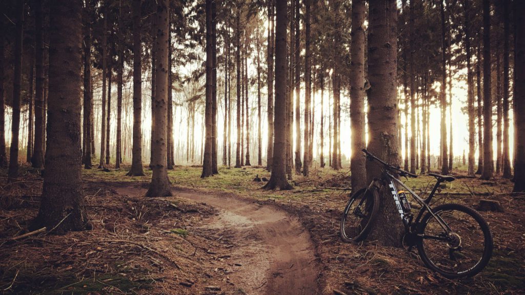 trek-mountainbike-in-staatsbos