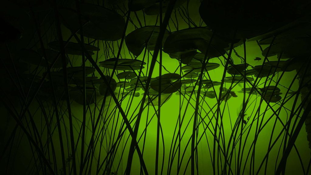 waterlelies-abstract-stengels-onderwater