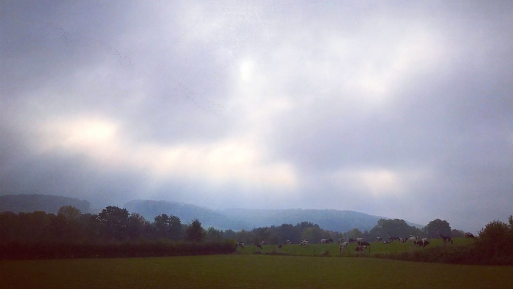 zonnestralen_beutenaken_koeien